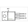 LM-320 contenitore TO-220